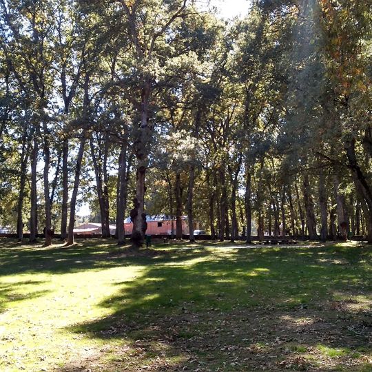 Campa de El Bardal