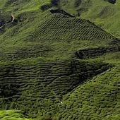 Malezya