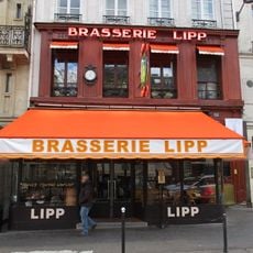 Lipp