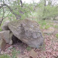 Großsteingrab Carlshof