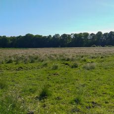 Wälder an der Bondenau