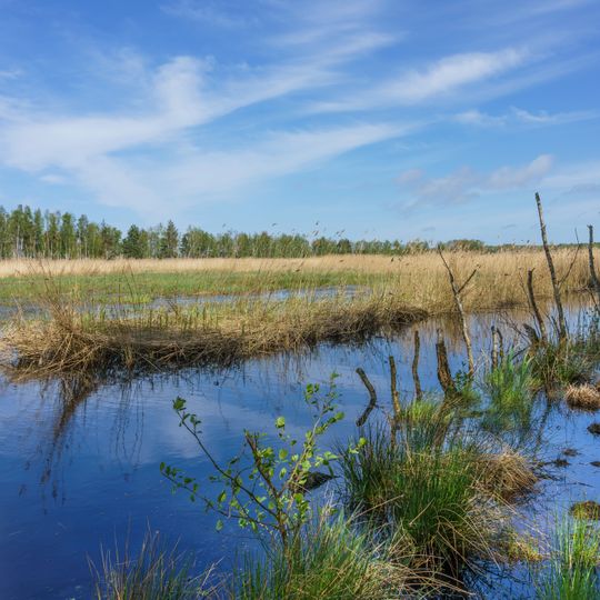 Heiligensee und Hütelmoor