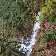 David Douglas County Park