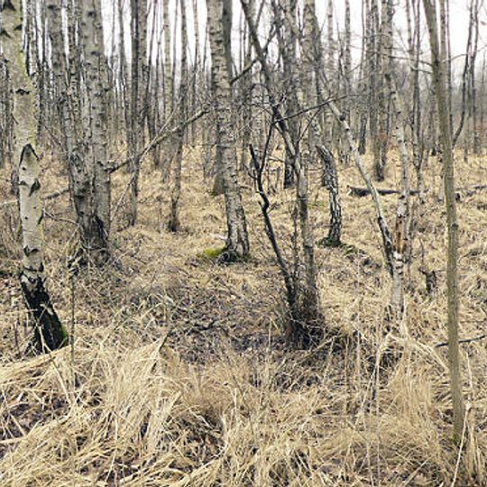 Altwarmbüchener Moor - Ahltener Wald