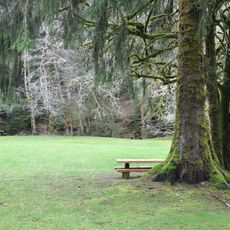 H. B. Van Duzer Forest State Scenic Corridor