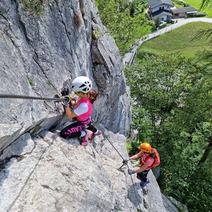 Via ferrata tame goat