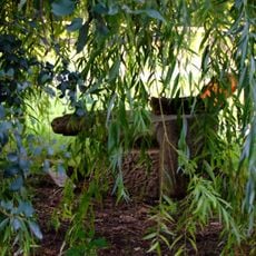 Römische Villa Heuthale