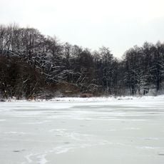 Reps- und Ochsenweiher