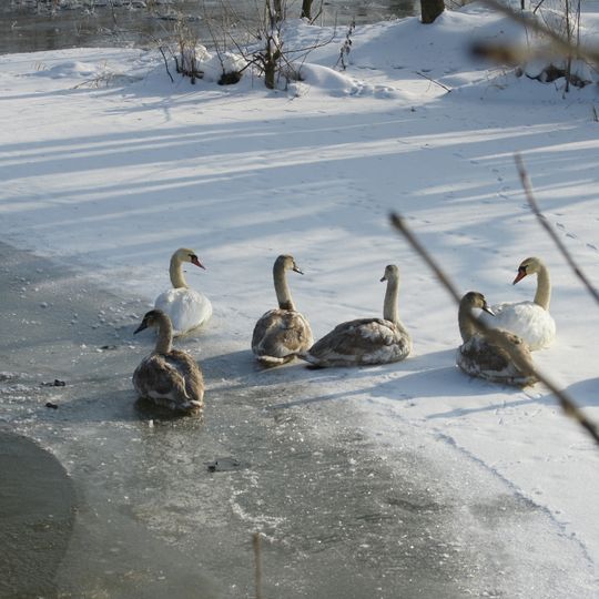 Nature reserve Jeziorsko