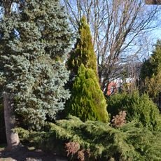 Bezekovský kaštieľ, záhrada