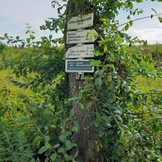 Schollerovský dvůr