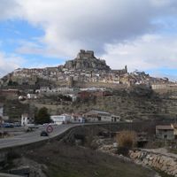 Morella