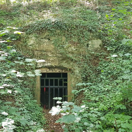 Groeve Pruus Karel II