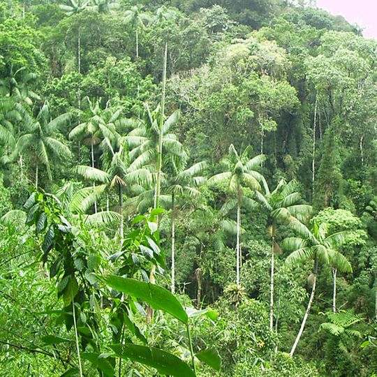 Itatiaia National Park