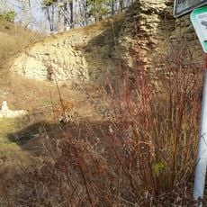 Aufschluss im Gewann Untere Steig