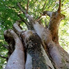 Museo del Risorgimento e della Resistenza