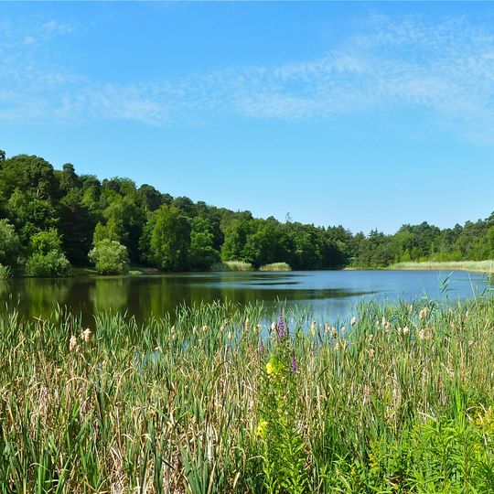 Vogelwoog - Schmalzwoog