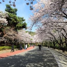 Duryu Park