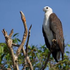 Turtle Group National Park