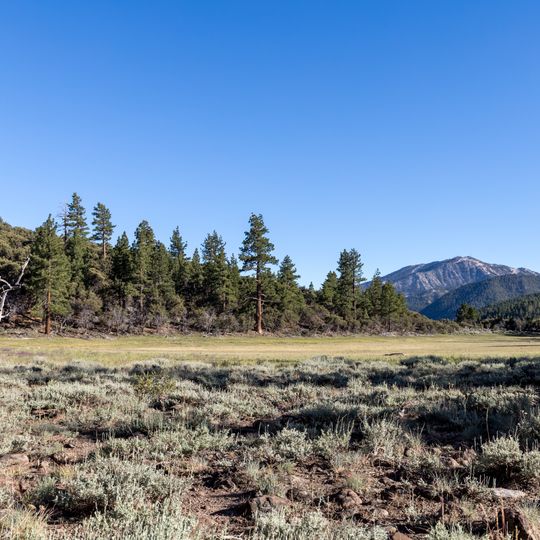 Mount Rose Wilderness