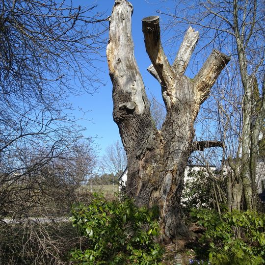 2003318 Tomten nr 1 Kv Bojen