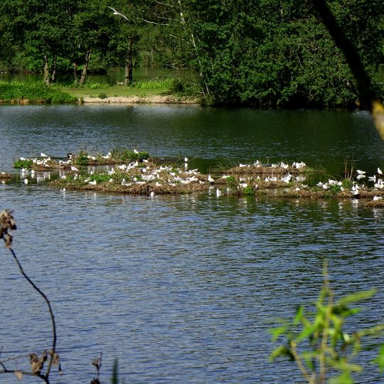 Katzdorfer Weihergruppe