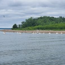 Lake Winnibigoshish
