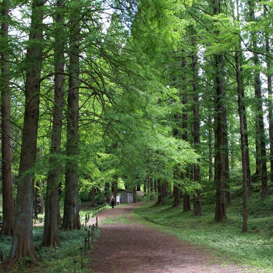 Jardin botanique de la faculté des sciences de l’université municipale d'Osaka