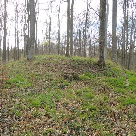 Großsteingrab Forst Tarnow 2