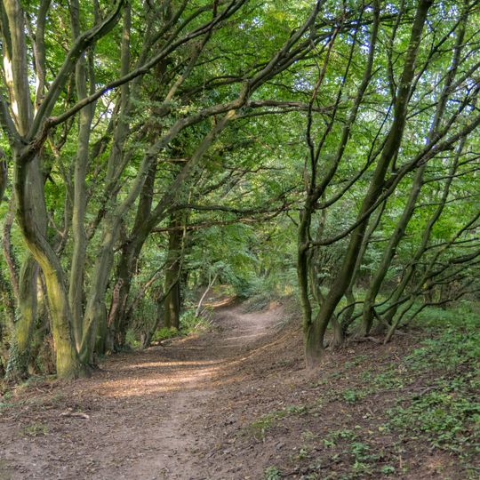 Abgrabung Retlager Bach